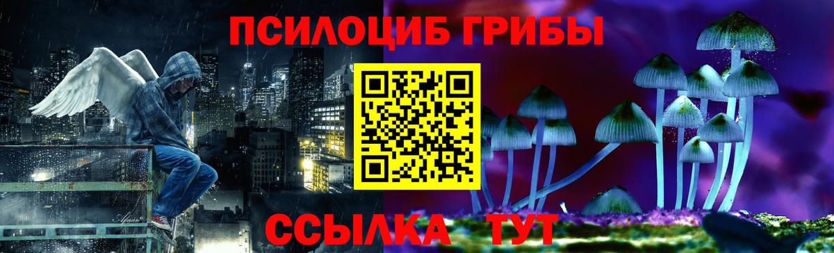 Псилоцибиновые грибы Psilocybe Коркино